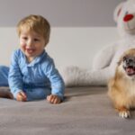 The Best Upholstery Options for Pets and Kids