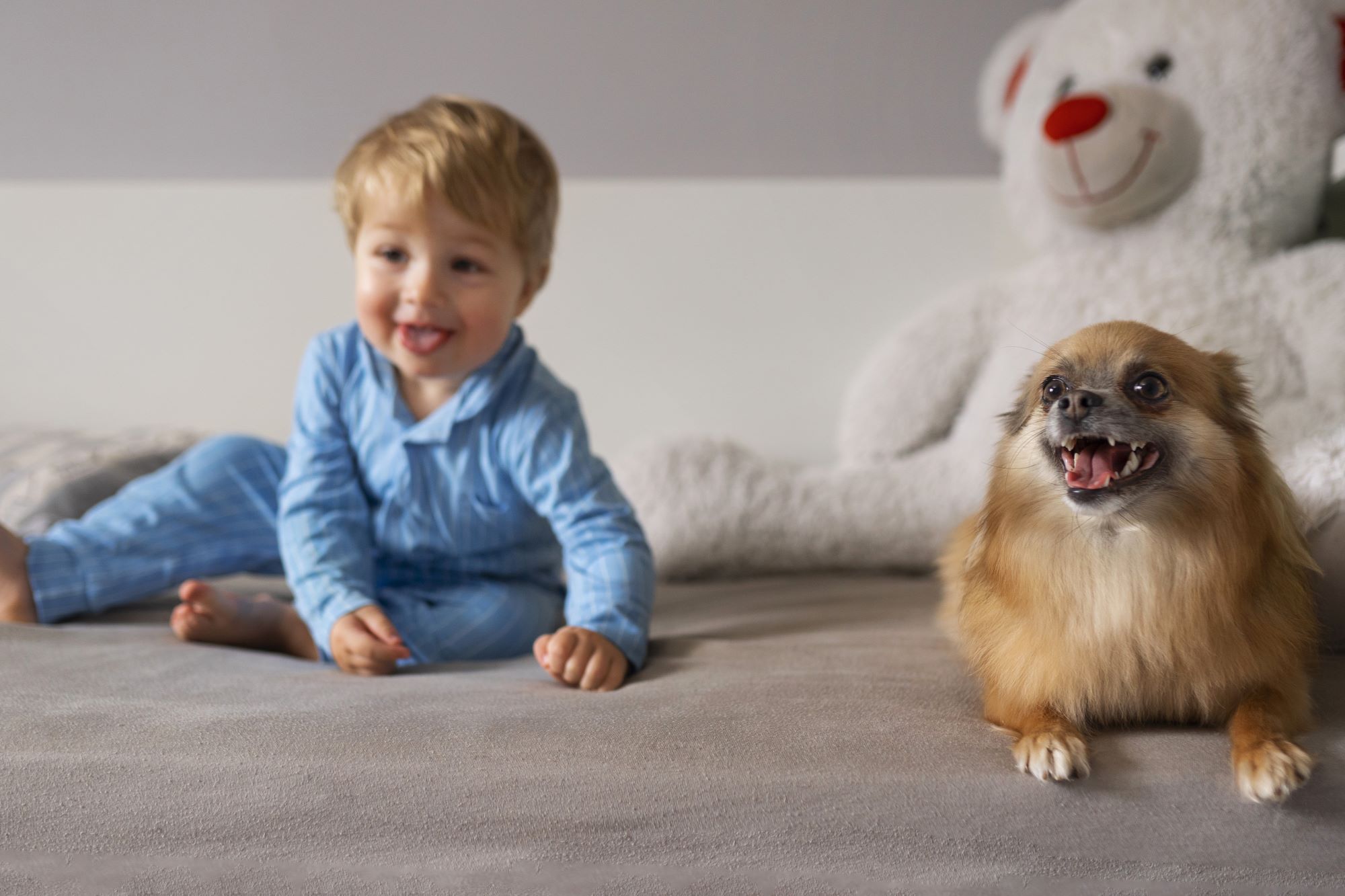 The Best Upholstery Options for Pets and Kids